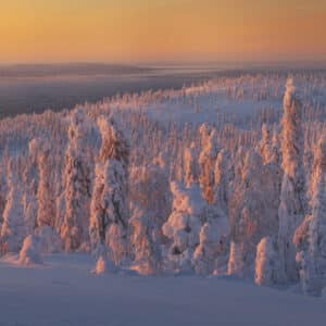 Winter in Lapland Photography Workshop // 9th-15th Feb. 2025